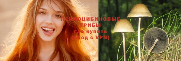 амф Покров