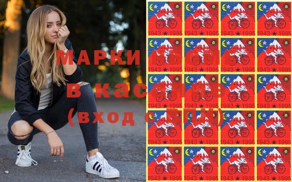 соль ск Инсар