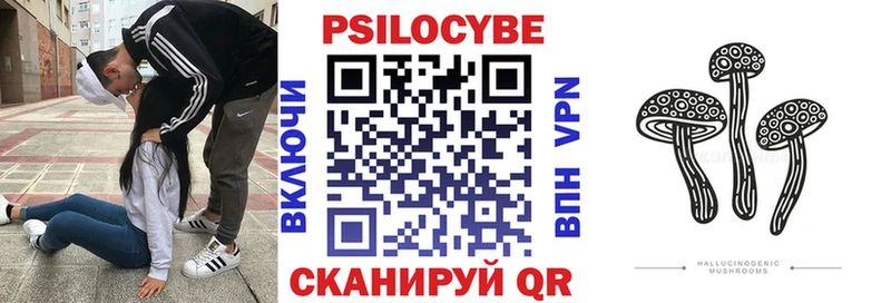 Псилоцибиновые грибы мицелий  mega как войти  Великий Новгород 