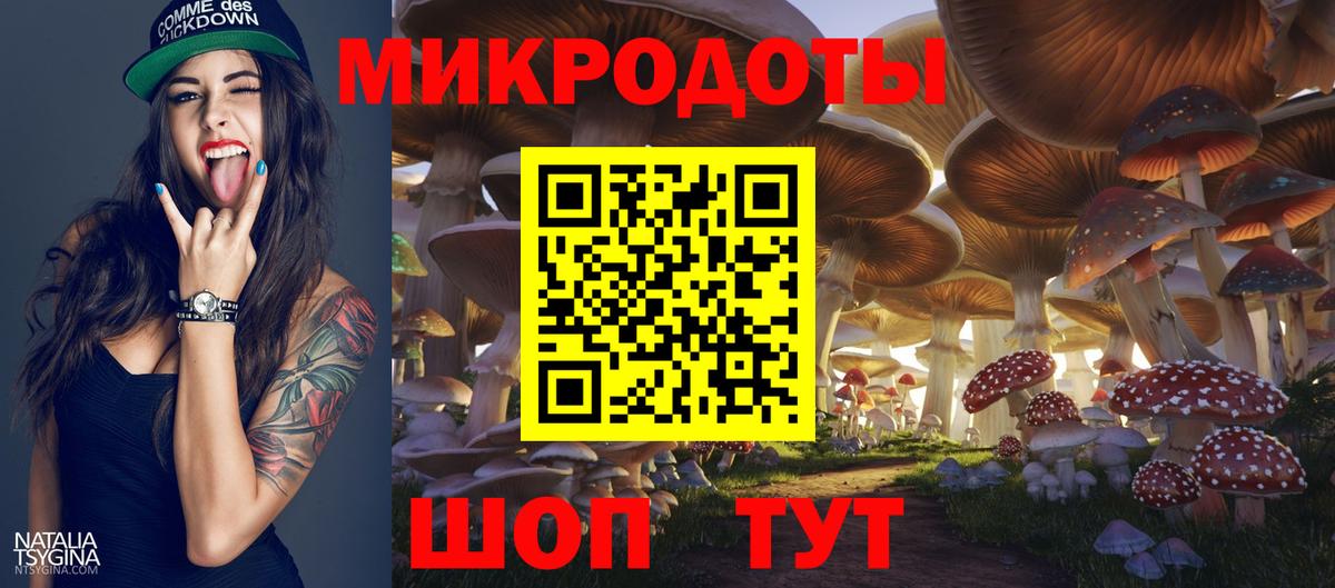 Псилоцибиновые грибы Magic Shrooms Великий Новгород