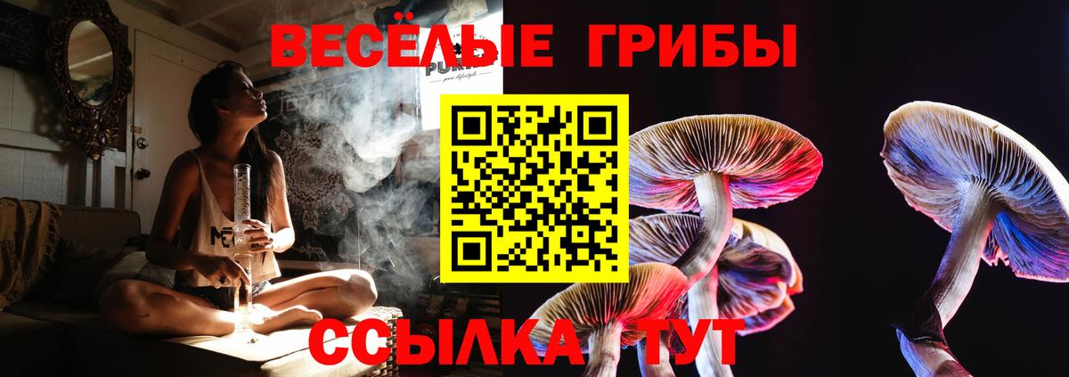Великий Новгород  Галлюциногенные грибы GOLDEN TEACHER  Вход с VPN 